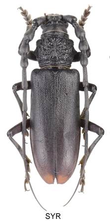 0001 aaa_8331asi nejlepší XX AA.jpg